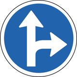 Rechtdoor rijden of rechtsaf slaan verplicht.