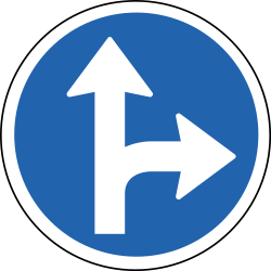 Rechtdoor rijden of rechtsaf slaan verplicht.