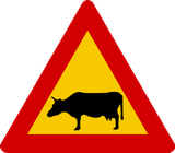 Waarschuwing voor vee op de weg.