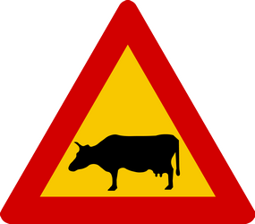 Waarschuwing voor vee op de weg.