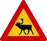 Waarschuwing voor rendieren op de weg.