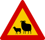 Waarschuwing voor schapen op de weg.