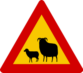 Waarschuwing voor schapen op de weg.