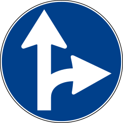 Obrigatório seguir em frente ou virar à direita.