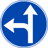 Rechtdoor rijden of linksaf slaan verplicht.