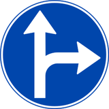 Rechtdoor rijden of rechtsaf slaan verplicht.
