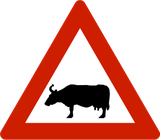 Waarschuwing voor vee op de weg.