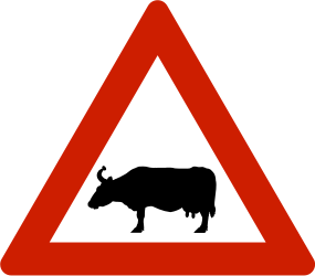 Waarschuwing voor vee op de weg.
