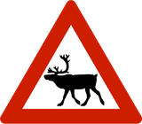 Waarschuwing voor rendieren op de weg.