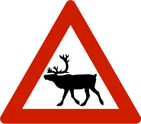 Waarschuwing voor rendieren op de weg.