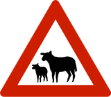 Waarschuwing voor schapen op de weg.
