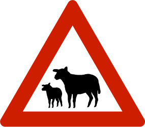 Waarschuwing voor schapen op de weg.