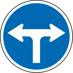 What does this traffic sign mean?
