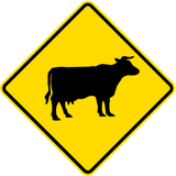 Waarschuwing voor vee op de weg.