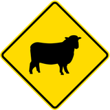 Waarschuwing voor schapen op de weg.