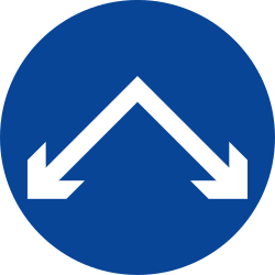 What does this traffic sign mean?
