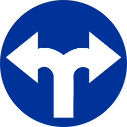 What does this traffic sign mean?