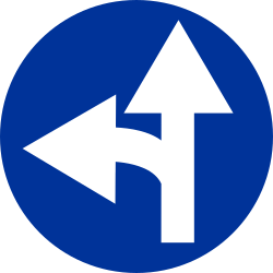 What does this traffic sign mean?