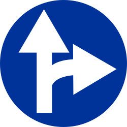 What does this traffic sign mean?