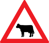 Waarschuwing voor vee op de weg.