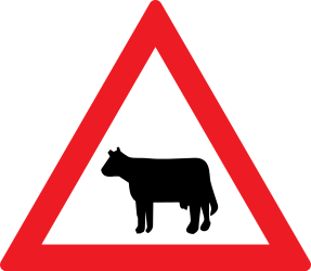 Waarschuwing voor vee op de weg.