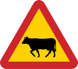 Waarschuwing voor vee op de weg.