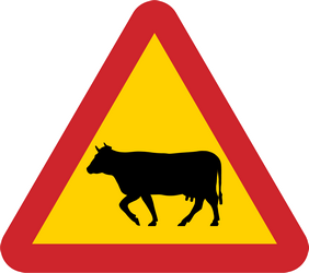 Waarschuwing voor vee op de weg.