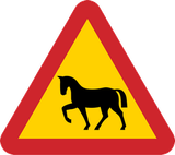 Waarschuwing voor wilde paarden op de weg.