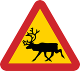 Waarschuwing voor rendieren op de weg.