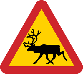 Waarschuwing voor rendieren op de weg.