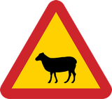 Waarschuwing voor schapen op de weg.