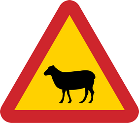 Waarschuwing voor schapen op de weg.