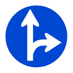 What does this traffic sign mean?