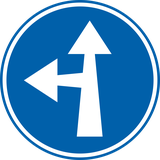 Rechtdoor rijden of linksaf slaan verplicht.