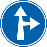 Rechtdoor rijden of rechtsaf slaan verplicht.