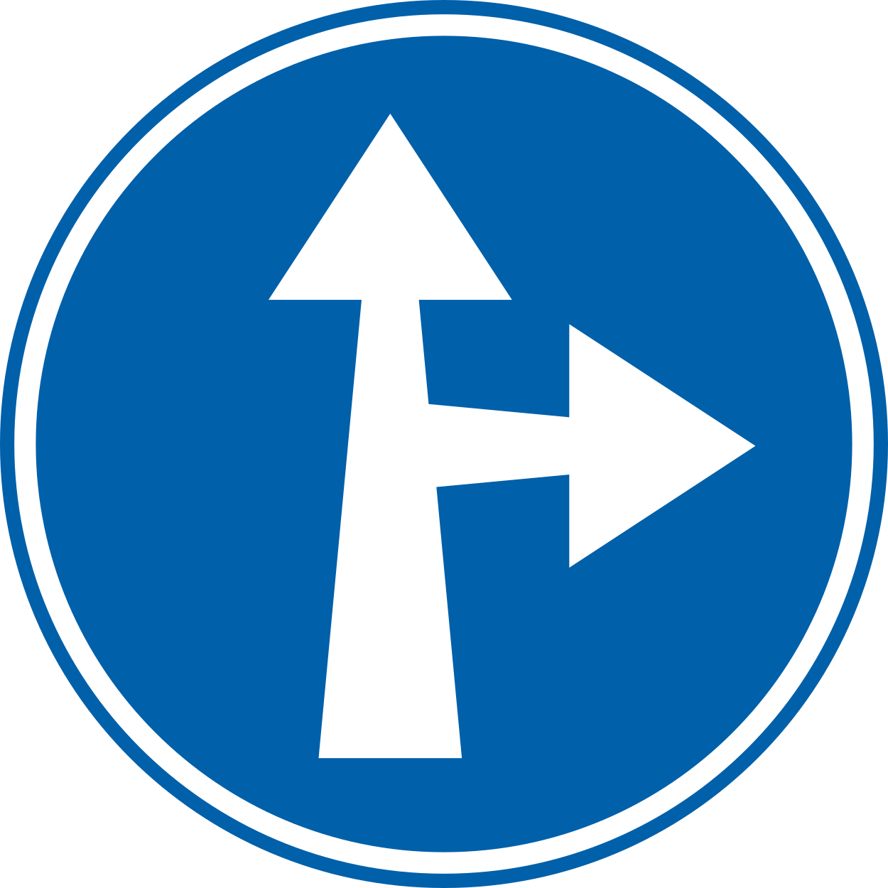 Rechtdoor rijden of rechtsaf slaan verplicht.